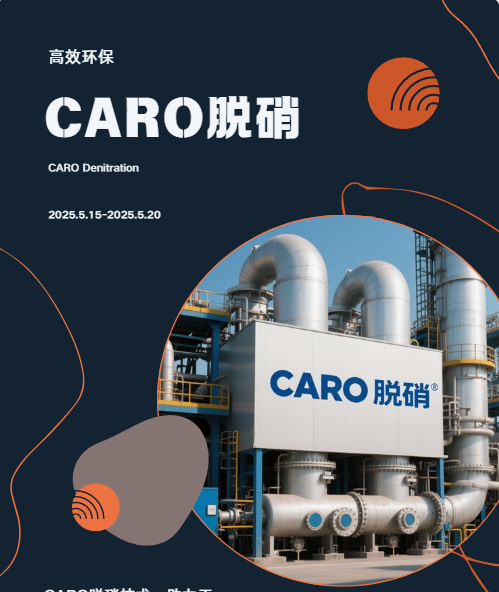 CARO脱硝